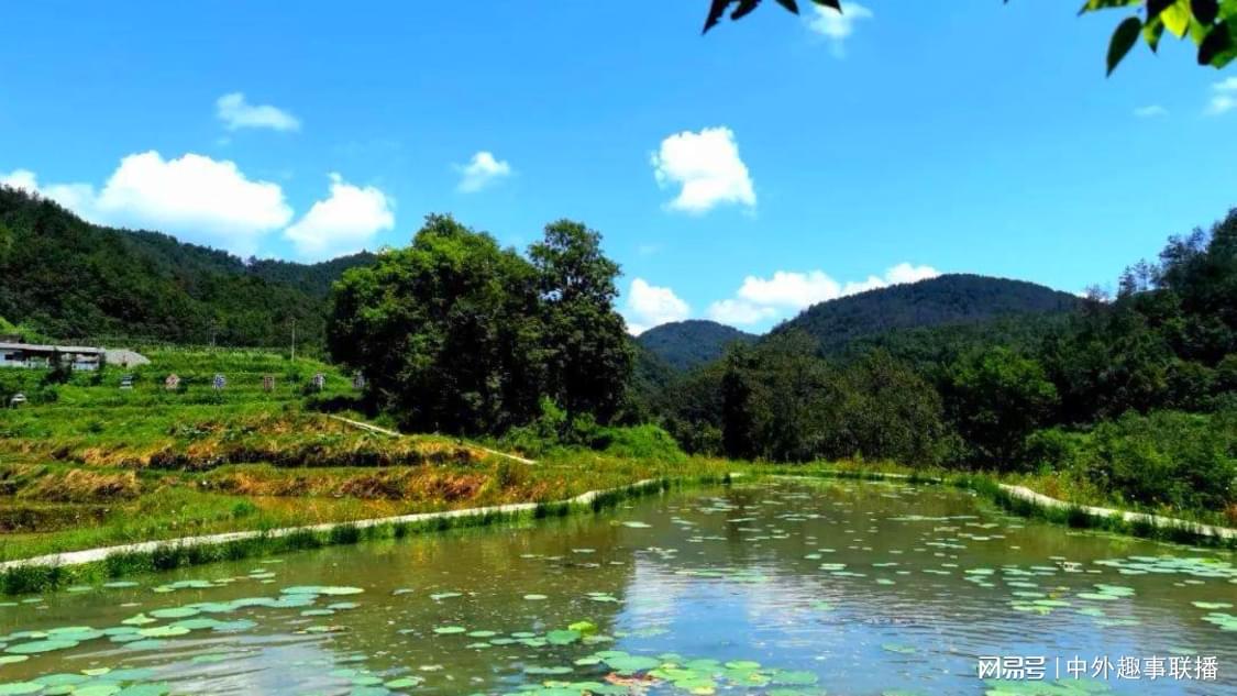 稍早前定向推广个性化优化您的创作流程:深夜推广不用等,数据透明更放心,抖音涨赞平台特价：网络营销新趋势推动低价策略兴起